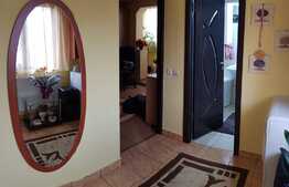 Apartament 1 camera, 40 mp, zona Garii