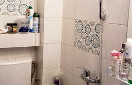 Garsoniera, 11 mp, mobilat modern, zona Diana