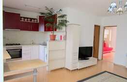 Apartament la cheie, 2 camere, 53 mp, parcare! Zona Muzeul Apei!