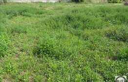 De vanzare teren intravilan, 1450 mp in Faget, zona Hotelului STIL