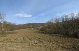 De vanzare casa la tara, teren 2 ha, Exterior Est!