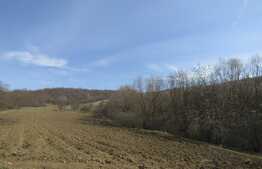 De vanzare casa la tara, teren 2 ha, Exterior Est!