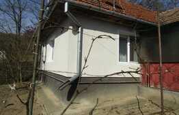 De vanzare casa la tara, teren 2 ha, Exterior Est!