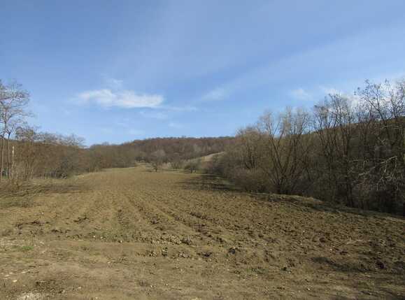 Casa de vânzare 3 camere Exterior Est - 36992CV | BLITZ Cluj-Napoca | Poza5