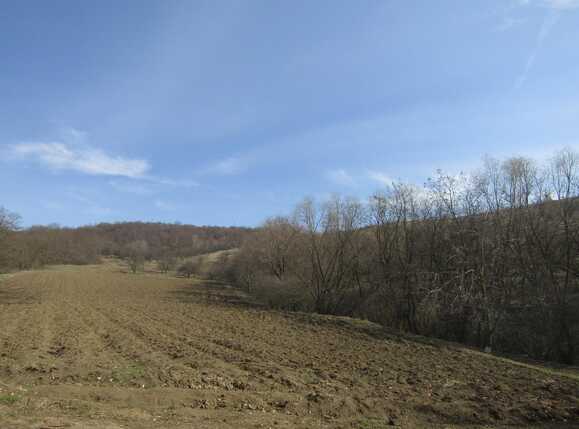 Casa de vânzare 3 camere Exterior Est - 36992CV | BLITZ Cluj-Napoca | Poza4