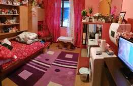 Garsoniera de vanzare, 21 mp, zona Ambient 