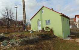 Ansamblu 2 case individuale, 81 mp+40 mp in aceeasi curte de 1294 mp, zona Ciurila