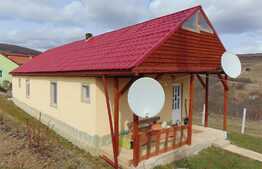 Ansamblu 2 case individuale, 81 mp+40 mp in aceeasi curte de 1294 mp, zona Ciurila