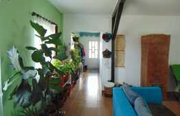 Ansamblu 2 case individuale, 81 mp+40 mp in aceeasi curte de 1294 mp, zona Ciurila