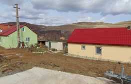 Ansamblu 2 case individuale, 81 mp+40 mp in aceeasi curte de 1294 mp, zona Ciurila