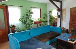 Ansamblu 2 case individuale, 81 mp+40 mp in aceeasi curte de 1294 mp, zona Ciurila