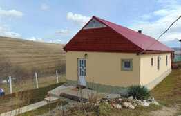 Ansamblu 2 case individuale, 81 mp+40 mp in aceeasi curte de 1294 mp, zona Ciurila