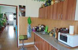 Ansamblu 2 case individuale, 81 mp+40 mp in aceeasi curte de 1294 mp, zona Ciurila