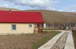 Ansamblu 2 case individuale, 81 mp+40 mp in aceeasi curte de 1294 mp, zona Ciurila