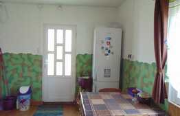 Ansamblu 2 case individuale, 81 mp+40 mp in aceeasi curte de 1294 mp, zona Ciurila