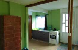 Ansamblu 2 case individuale, 81 mp+40 mp in aceeasi curte de 1294 mp, zona Ciurila