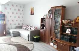 Apartament de 54 mp in apropiere de Vivo