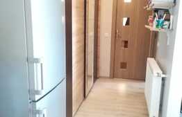 Apartament de 54 mp in apropiere de Vivo