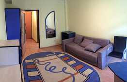 Garsoniera pentru investitie, 22mp + balcon, etaj intermediar, Zona FSEGA