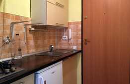 Garsoniera pentru investitie, 22mp + balcon, etaj intermediar, Zona FSEGA