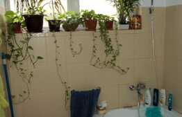 Apartament 2 camere, 35 mp, semidecomandat, zona Oncos