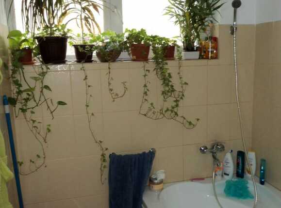 Apartament de vânzare 2 camere Bună Ziua - 37073AV | BLITZ Cluj-Napoca | Poza9