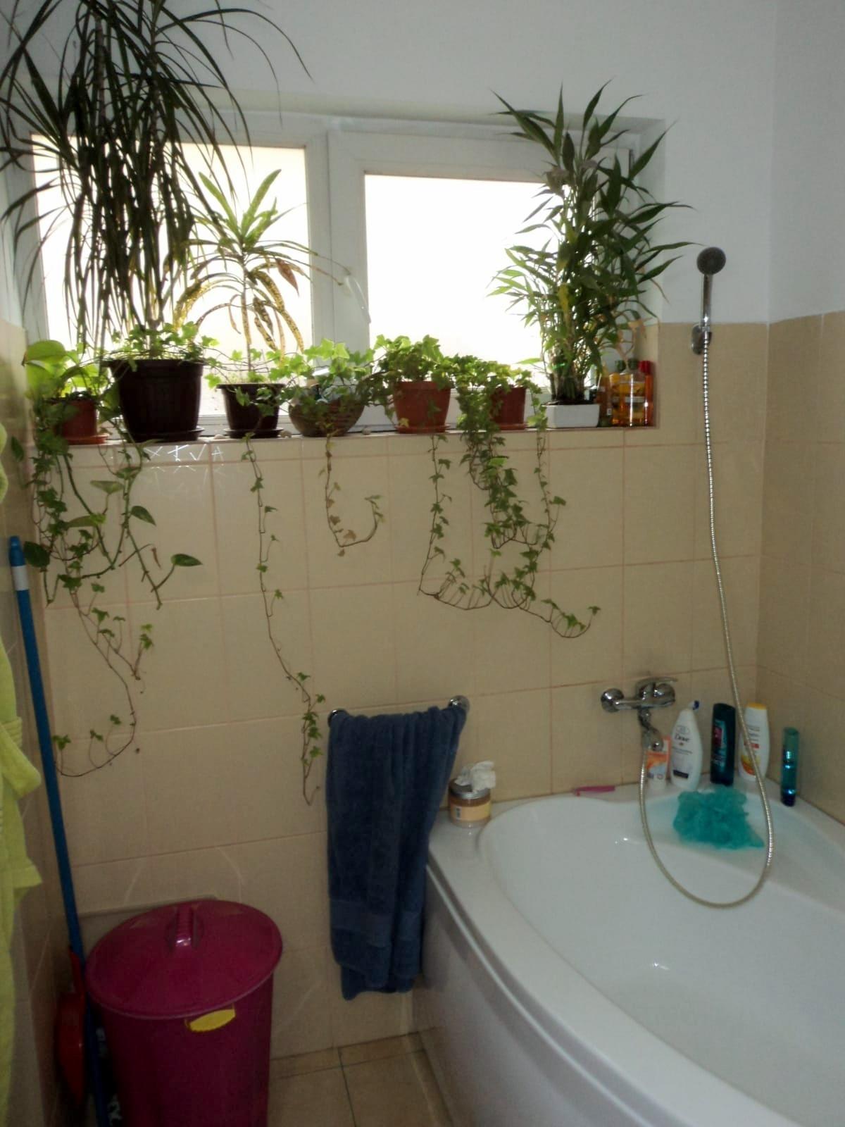 Apartament de vânzare 2 camere Bună Ziua - 37073AV | BLITZ Cluj-Napoca | Poza9