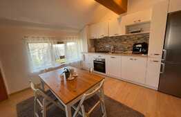 Apartament 3 camere, 75 mp, mobilat modern, zona strazii Lunii