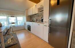 Apartament 3 camere, 75 mp, mobilat modern, zona strazii Lunii