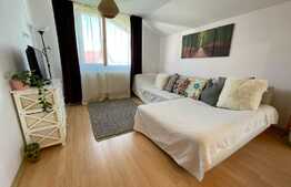 Apartament 3 camere, 75 mp, mobilat modern, zona strazii Lunii