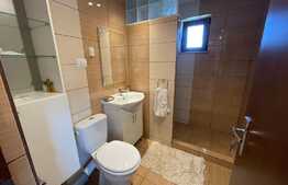 Apartament 3 camere, 75 mp, mobilat modern, zona strazii Lunii