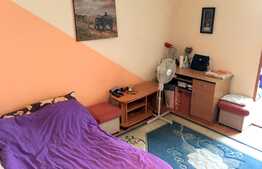 Garsoniera la cheie, 32 mp, etaj intermediar, zona Expo Transilvania