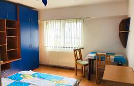 O garsoniera confortabila la 5 minute de statiile de autobus! Zona pod Ira