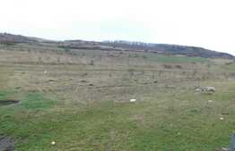 Teren pentru constructie de hale