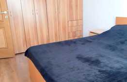 Cauti un apartament pet-friendly? Am gasit oferta potrivita pentru tine!