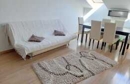 Cauti un apartament pet-friendly? Am gasit oferta potrivita pentru tine!