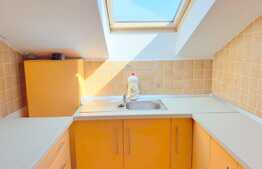 Cauti un apartament pet-friendly? Am gasit oferta potrivita pentru tine!