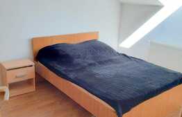 Cauti un apartament pet-friendly? Am gasit oferta potrivita pentru tine!