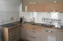 Casa de vanzare, 280 mp utili, la cheie, pivnita, CF, Autogara Beta!