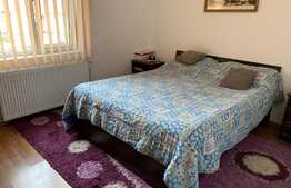 Casa de vanzare, 280 mp utili, la cheie, pivnita, CF, Autogara Beta!