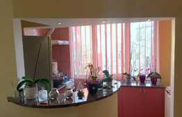 Garsoniera + nisa de dormit, 39mp, etaj intermediar, zona Farmec