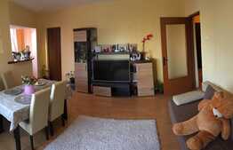 Garsoniera + nisa de dormit, 39mp, etaj intermediar, zona Farmec