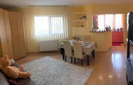 Garsoniera + nisa de dormit, 39mp, etaj intermediar, zona Farmec