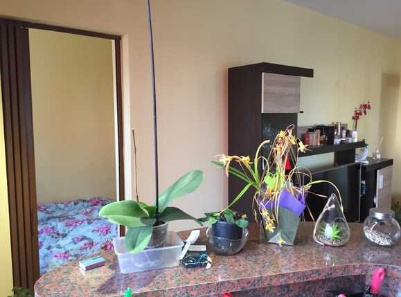 Garsonieră de vânzare Marasti - 37112AV | BLITZ Cluj-Napoca | Poza7