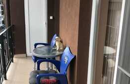 Daca nu vrei sa locuiesti intr-o constructie veche, atunci acest ansamblu iti ofera ceea ce ai tu nevoie 