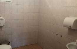 Casa 420 mp, 5 parcari, AC, zona Piata Fraternitatii