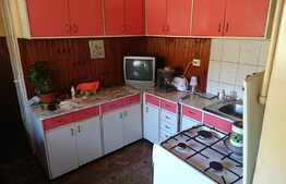 Apartament 2 camere la casa, curte, garaj, zona strazii General Eremia Grigorescu