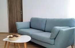 Locuinta mult visata! Apartament 2 camere, cochet, mobilat/utilat, zona Primariei Baciu!