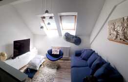 Daca cauti un Loft cochet cu scara interioara la cheie...