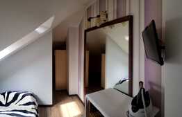 Daca cauti un Loft cochet cu scara interioara la cheie...